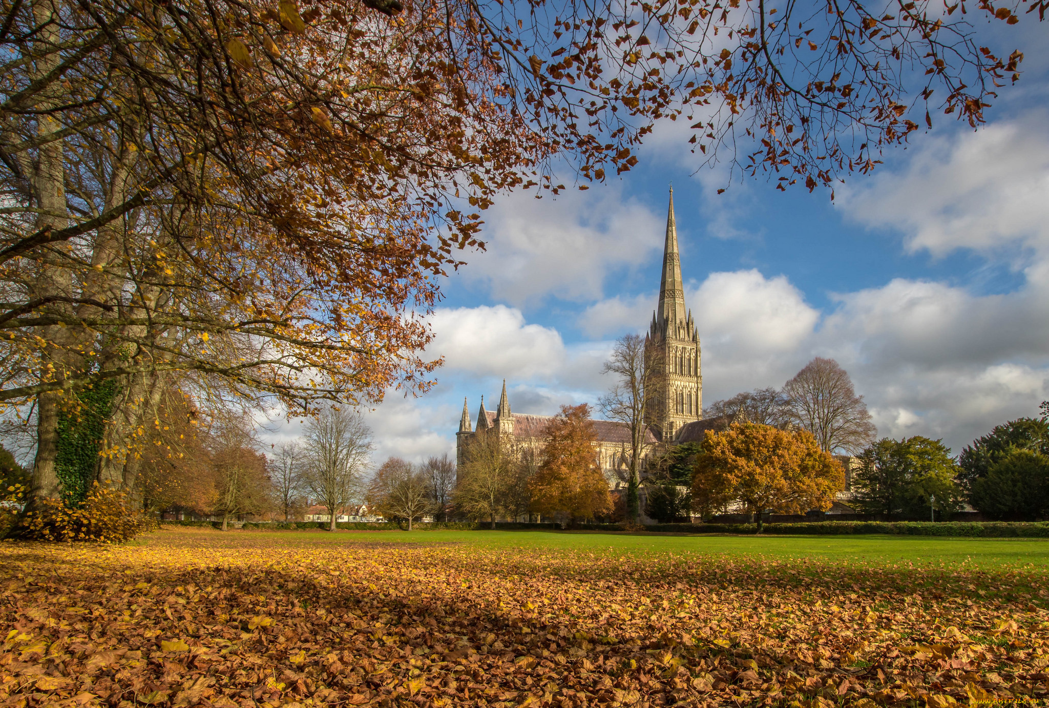 salisbury cathedral, , -  ,  ,  , 